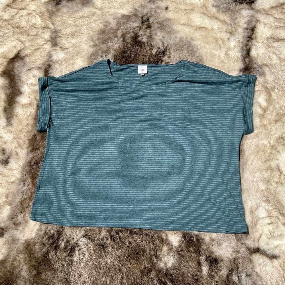 Cabi Teal Stripe Short Sleeve T-shirt sz XL